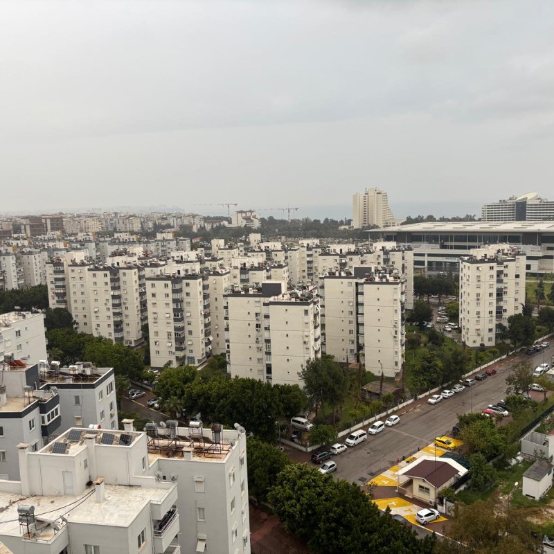Palmiye sitesi 35.000 metrekare dekoratif sıva uygulaması